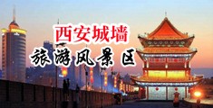 日韩一级强奸毛片中国陕西-西安城墙旅游风景区